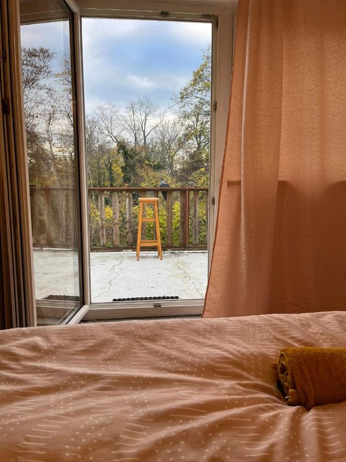 Breathtaking Shared Villa Near Danube River /W Garden And Parking Wien Eksteriør bilde