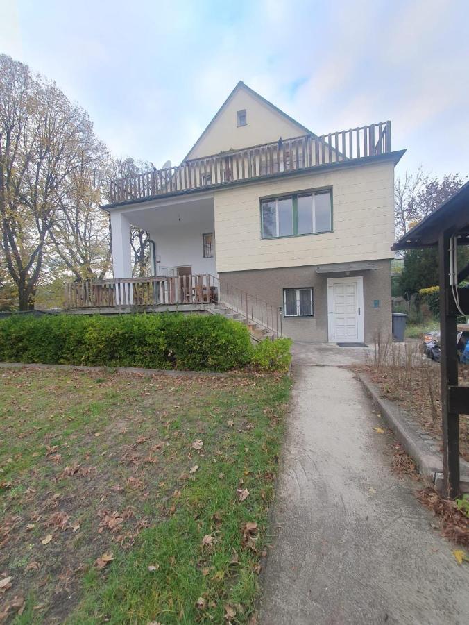 Breathtaking Shared Villa Near Danube River /W Garden And Parking Wien Eksteriør bilde