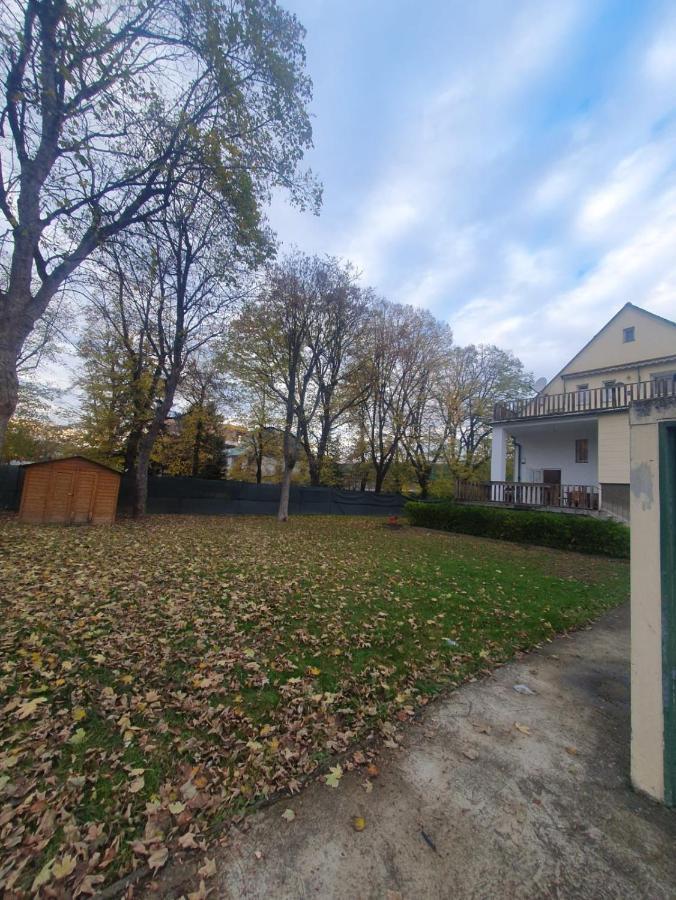 Breathtaking Shared Villa Near Danube River /W Garden And Parking Wien Eksteriør bilde